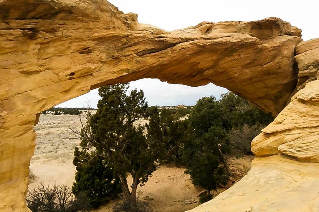 Rim Vista 9A8 Villa Moab Eksteriør billede